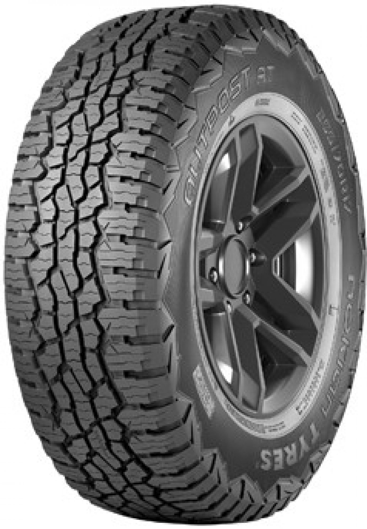 Nokian Outpost AT 245/75 R17 121/118S